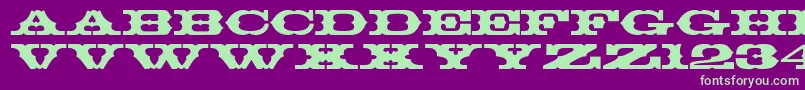 Thunderbay Font – Green Fonts on Purple Background