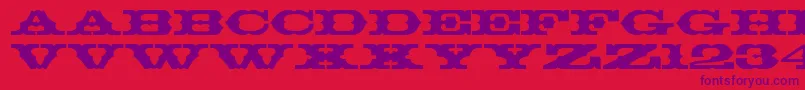 Thunderbay Font – Purple Fonts on Red Background