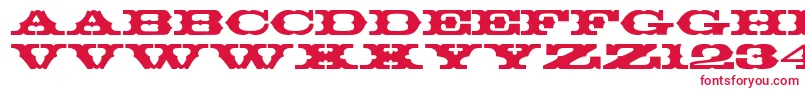 Thunderbay Font – Red Fonts on White Background