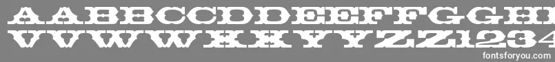 Thunderbay Font – White Fonts on Gray Background