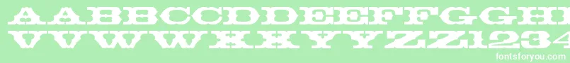 Thunderbay Font – White Fonts on Green Background