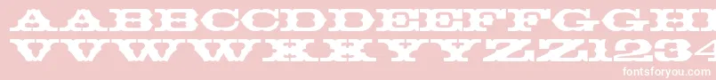 Thunderbay-Schriftart – Weiße Schriften auf rosa Hintergrund