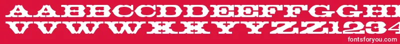 Thunderbay Font – White Fonts on Red Background