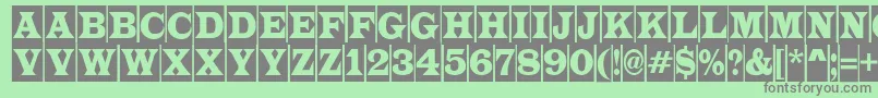 LatinotitulcmRegular Font – Gray Fonts on Green Background