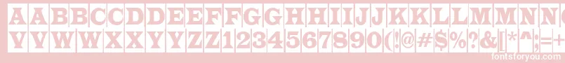 LatinotitulcmRegular Font – White Fonts on Pink Background