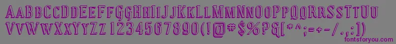 フォントCoving29 – 紫色のフォント、灰色の背景