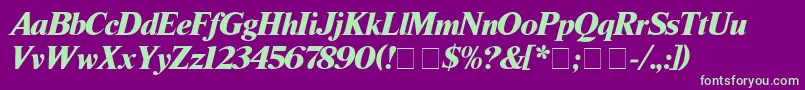 TimesBlackitalic Font – Green Fonts on Purple Background