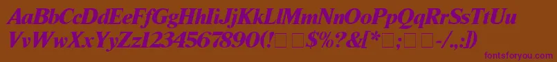 TimesBlackitalic Font – Purple Fonts on Brown Background