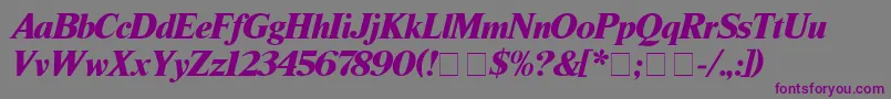 TimesBlackitalic Font – Purple Fonts on Gray Background