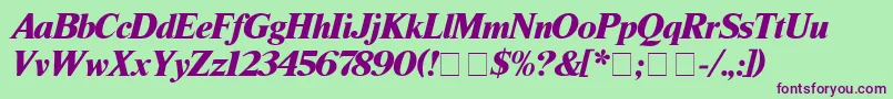 TimesBlackitalic Font – Purple Fonts on Green Background