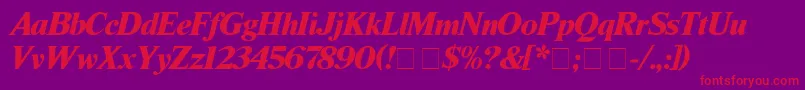 TimesBlackitalic Font – Red Fonts on Purple Background