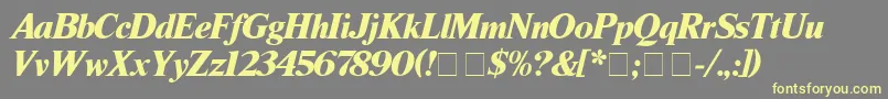 TimesBlackitalic Font – Yellow Fonts on Gray Background