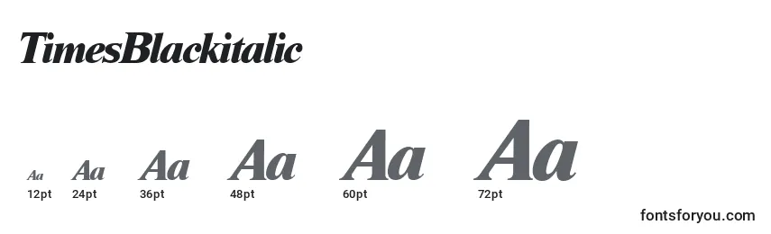 TimesBlackitalic Font Sizes