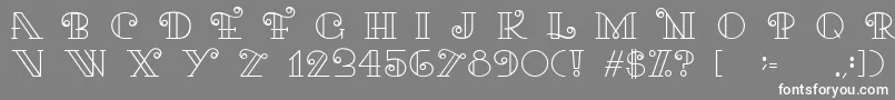 フォントKariRegular – 灰色の背景に白い文字