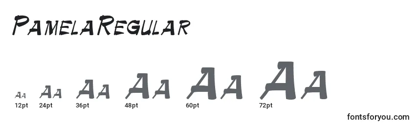 Размеры шрифта PamelaRegular