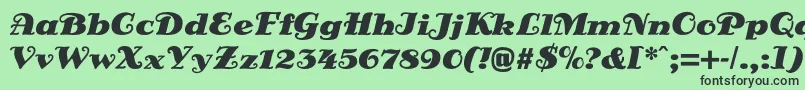 DsSienaBlack Font – Black Fonts on Green Background
