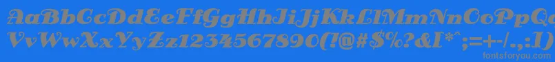 DsSienaBlack Font – Gray Fonts on Blue Background