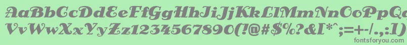 DsSienaBlack Font – Gray Fonts on Green Background