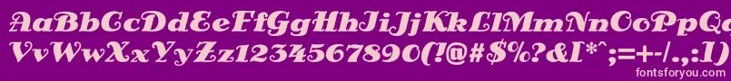 DsSienaBlack Font – Pink Fonts on Purple Background