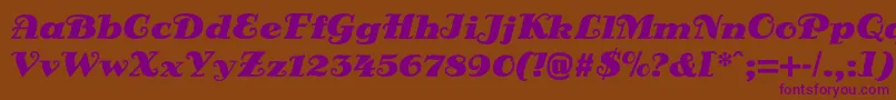 DsSienaBlack Font – Purple Fonts on Brown Background