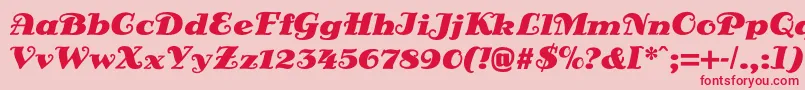 フォントDsSienaBlack – ピンクの背景に赤い文字