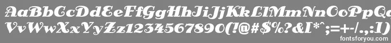 DsSienaBlack Font – White Fonts on Gray Background