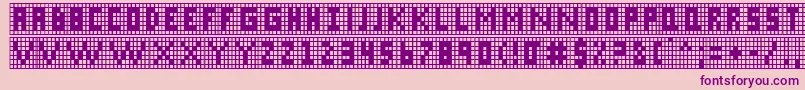 Xgrid Font – Purple Fonts on Pink Background