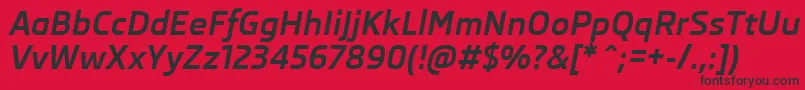 SkodaProBoldItalic Font – Black Fonts on Red Background