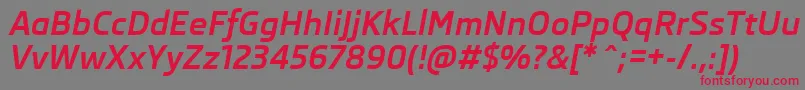 SkodaProBoldItalic Font – Red Fonts on Gray Background
