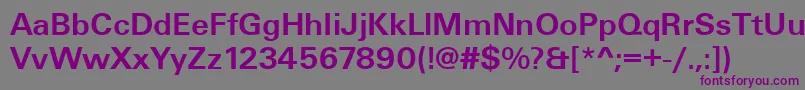 Шрифт UniqueLightBold – фиолетовые шрифты на сером фоне