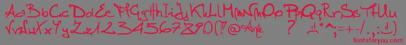 フォントStellina – 赤い文字の灰色の背景