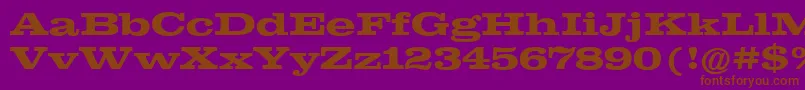 ClarendonExtendedРџРѕР»СѓР¶РёСЂРЅС‹Р№ Font – Brown Fonts on Purple Background