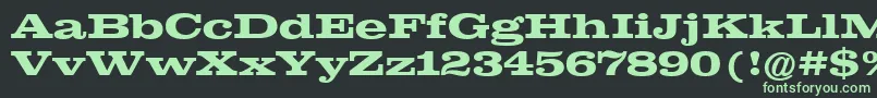 ClarendonExtendedРџРѕР»СѓР¶РёСЂРЅС‹Р№ Font – Green Fonts on Black Background