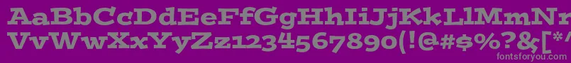 Postinostd Font – Gray Fonts on Purple Background