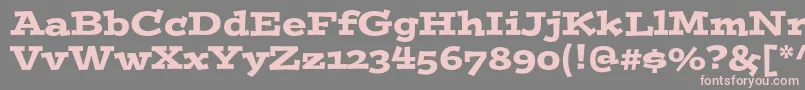 Postinostd Font – Pink Fonts on Gray Background