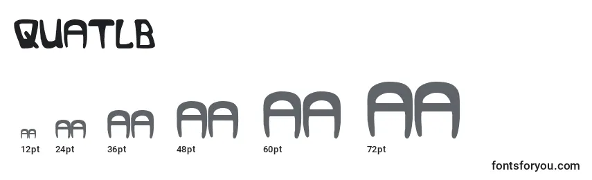Quatlb Font Sizes