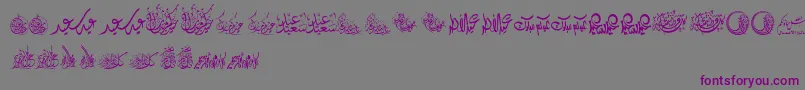 FelicitationArabicFeasts Font – Purple Fonts on Gray Background