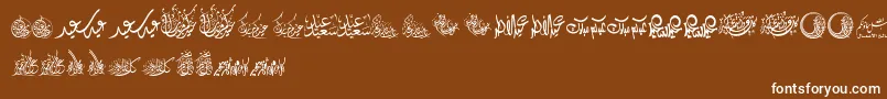 FelicitationArabicFeasts Font – White Fonts on Brown Background