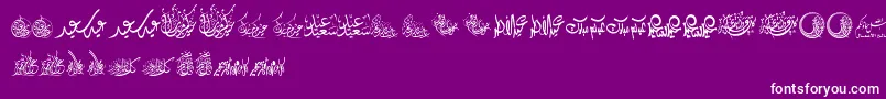 フォントFelicitationArabicFeasts – 紫の背景に白い文字