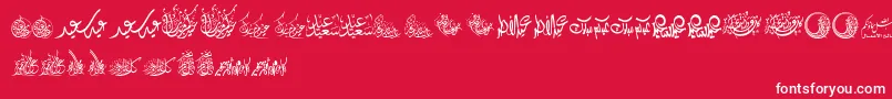FelicitationArabicFeasts-Schriftart – Weiße Schriften auf rotem Hintergrund