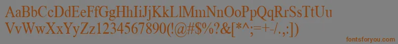 TimeRoman85n Font – Brown Fonts on Gray Background