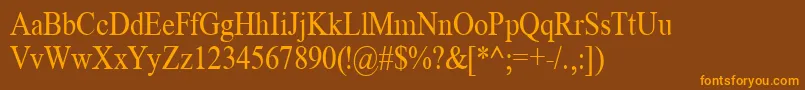 TimeRoman85n Font – Orange Fonts on Brown Background