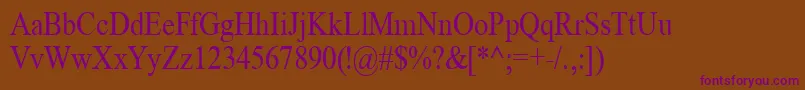 TimeRoman85n Font – Purple Fonts on Brown Background