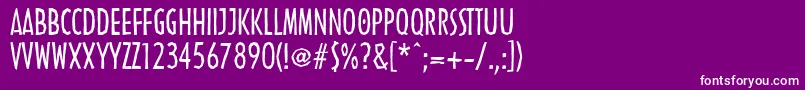 LinotypenordicaRegular Font – White Fonts on Purple Background