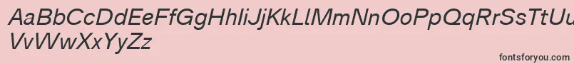 Analogue56oblique Font – Black Fonts on Pink Background