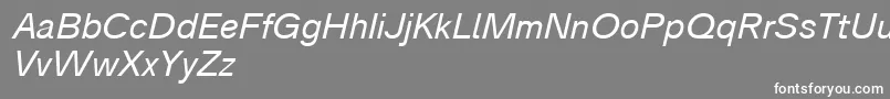 Czcionka Analogue56oblique – białe czcionki na szarym tle