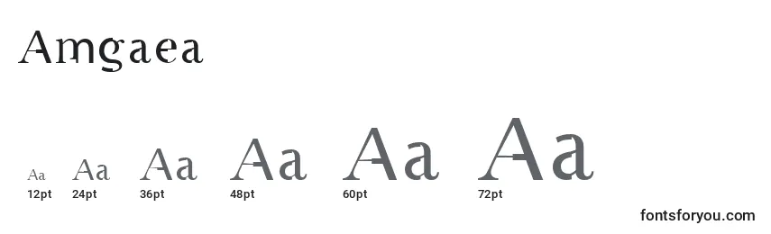 Размеры шрифта Amgaea