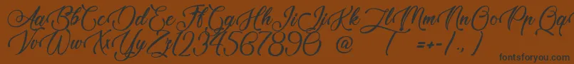 TaleOfHawks Font – Black Fonts on Brown Background