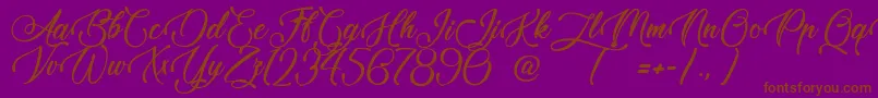 TaleOfHawks Font – Brown Fonts on Purple Background