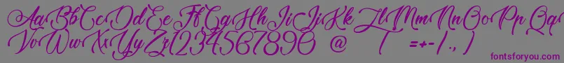 TaleOfHawks Font – Purple Fonts on Gray Background